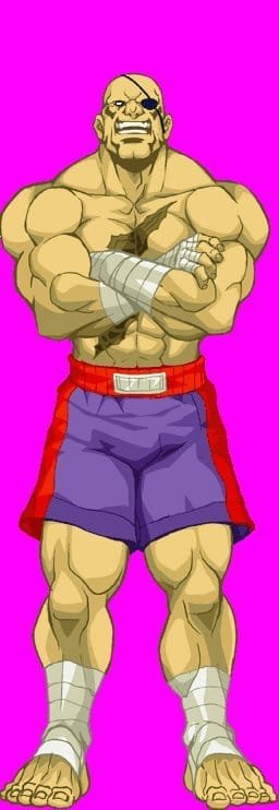 palpad sagat 80 00 tga jpgcopy2