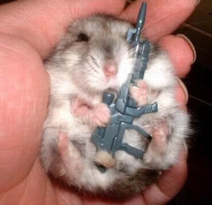 hamster with gun