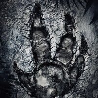 Turtle Rock Studios / 2K: "Evolve"