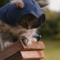 Assassin's Kittens Unity