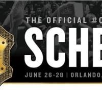 Watch the stream of all fighting game matches at CEO 2015