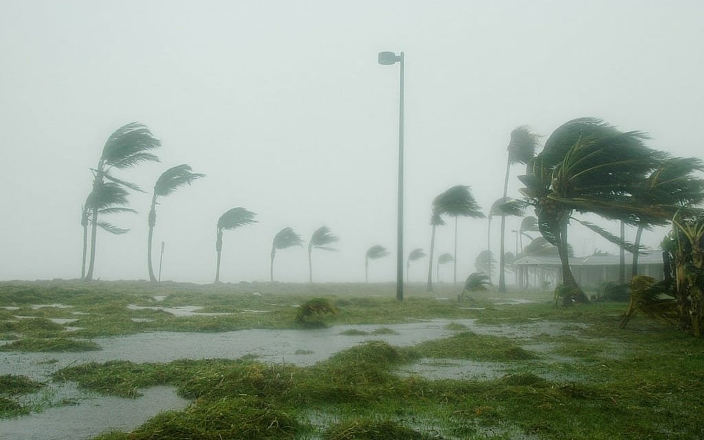 Verizon supports its customers following Hurricane Patricia