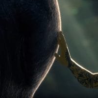 The Last Guardian