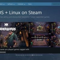 Linux en Steam