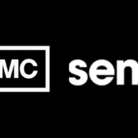 AMC Networks | Sentai Holdings
