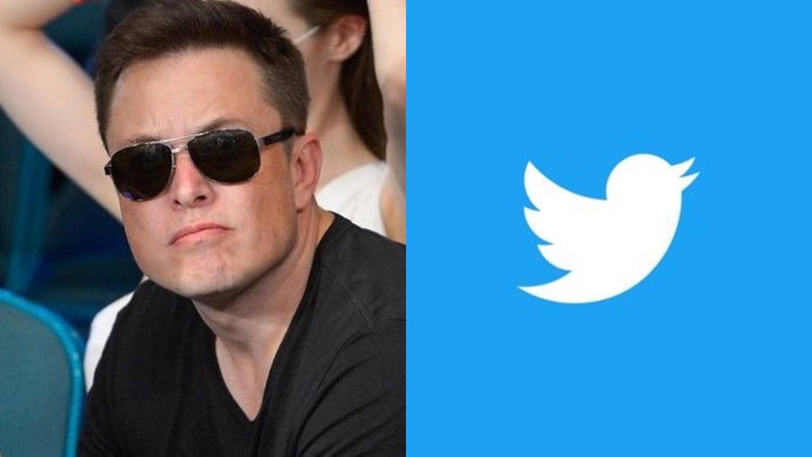 Elon Musk | Twitter