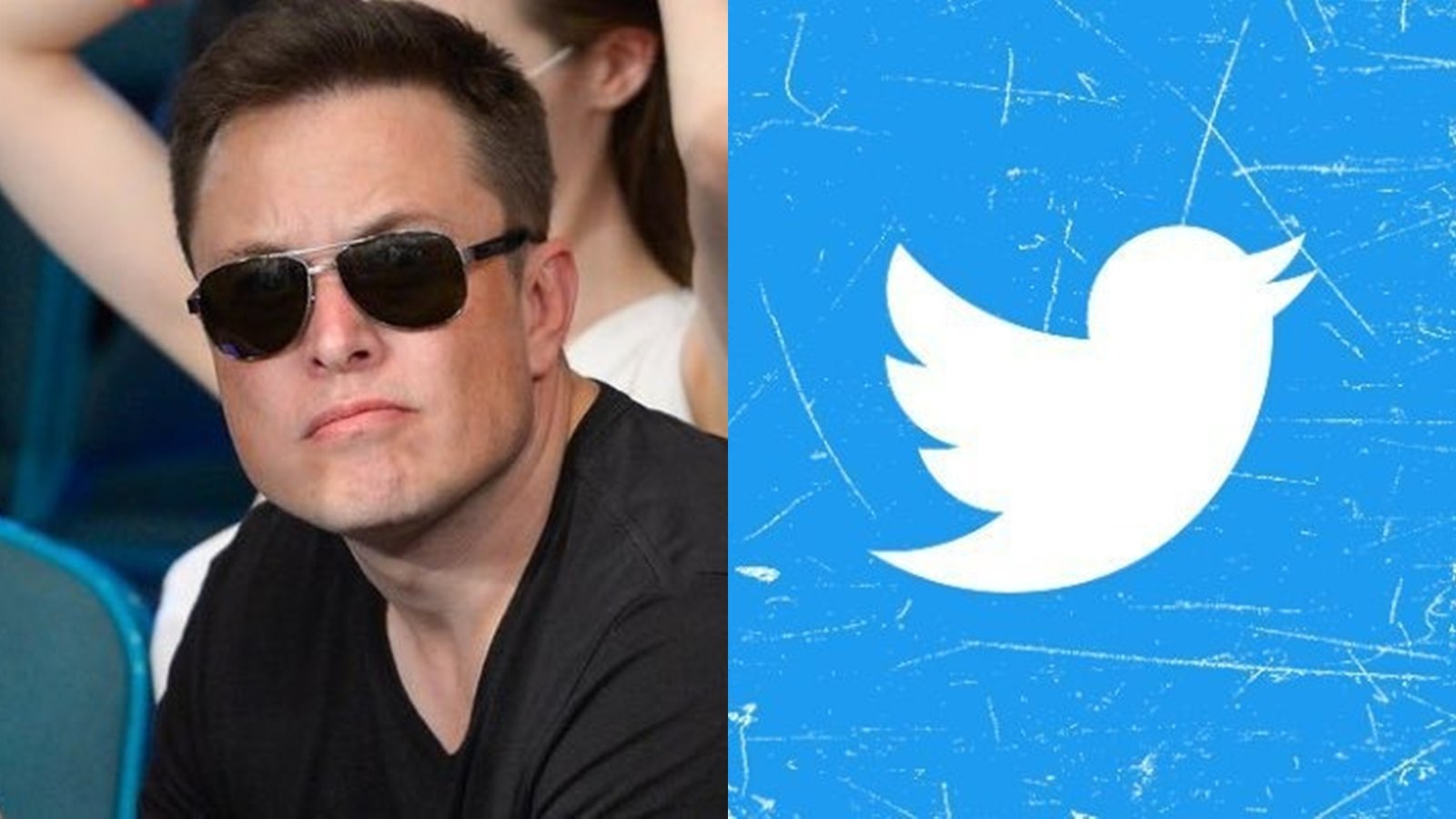 Elon Musk buys Twitter